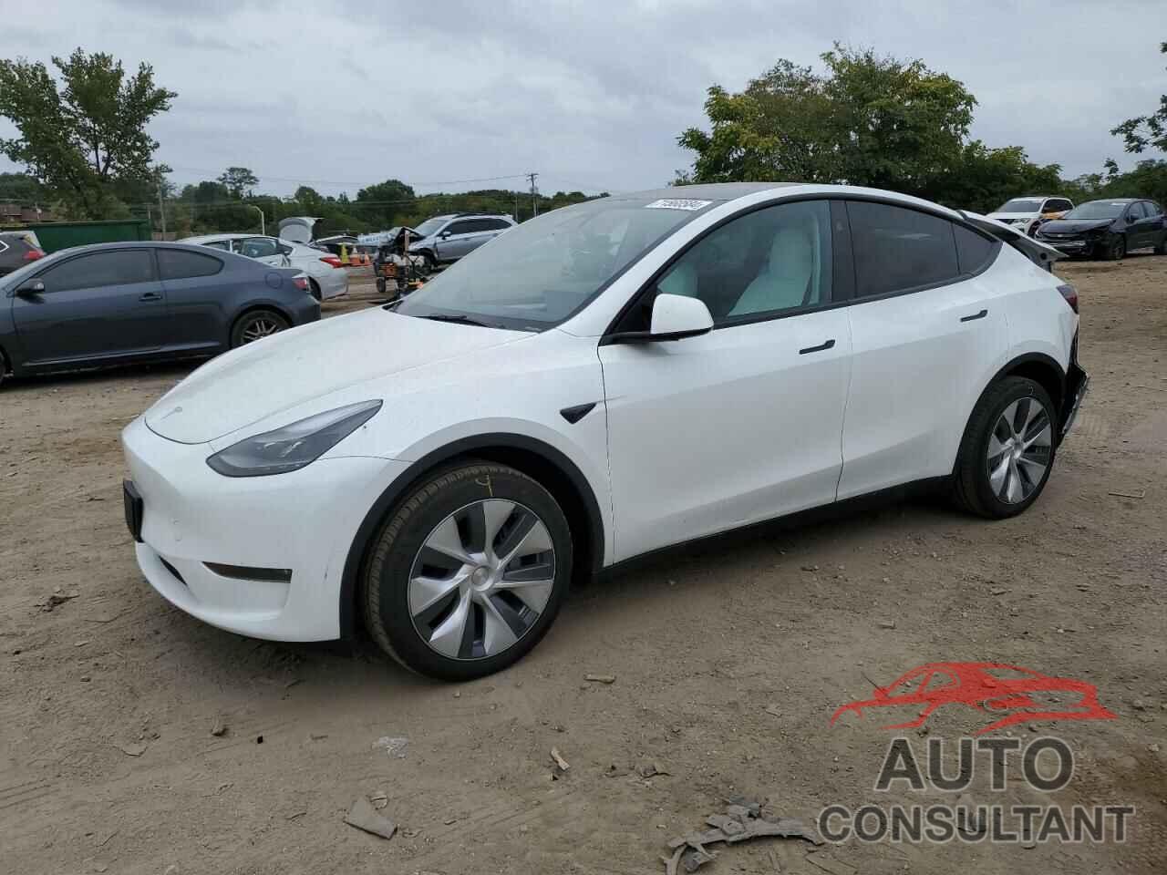 TESLA MODEL Y 2024 - 7SAYGDEE1RA260755