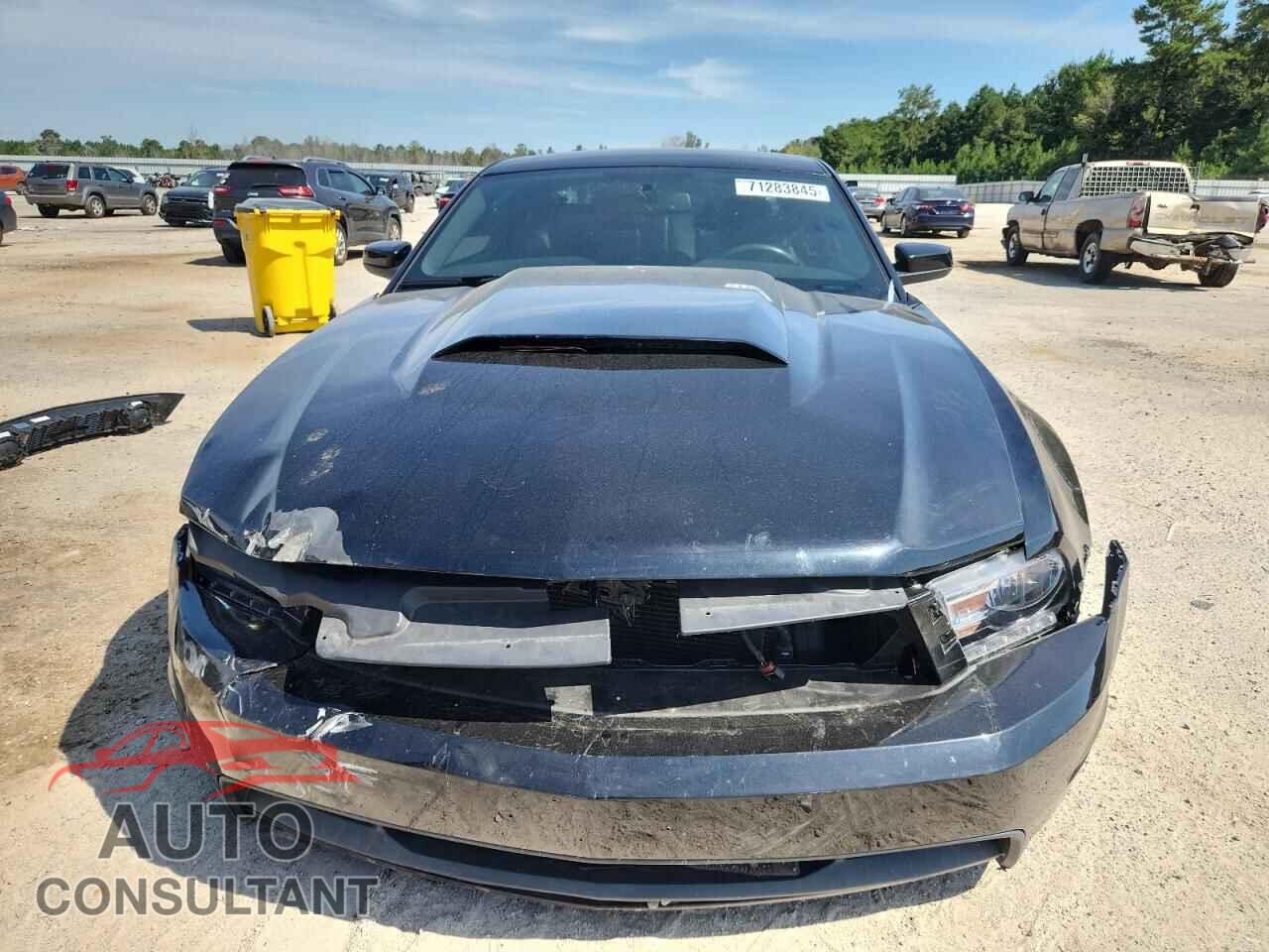 FORD MUSTANG 2012 - 1ZVBP8CF1C5215457