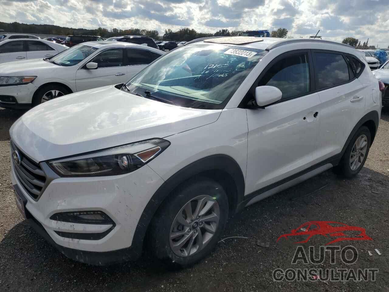 HYUNDAI TUCSON 2017 - KM8J33A40HU453369