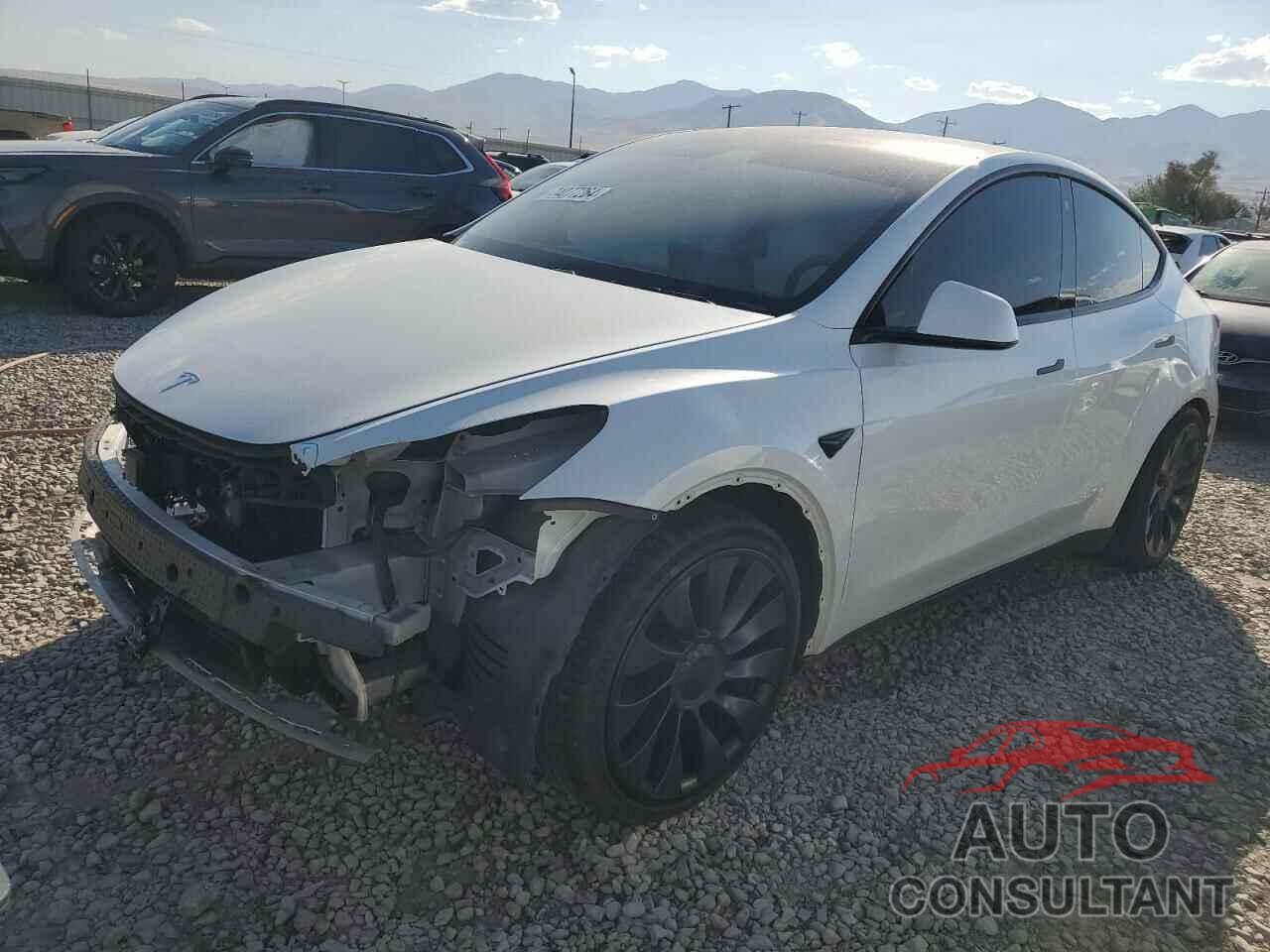 TESLA MODEL Y 2021 - 5YJYGDEF2MF072196