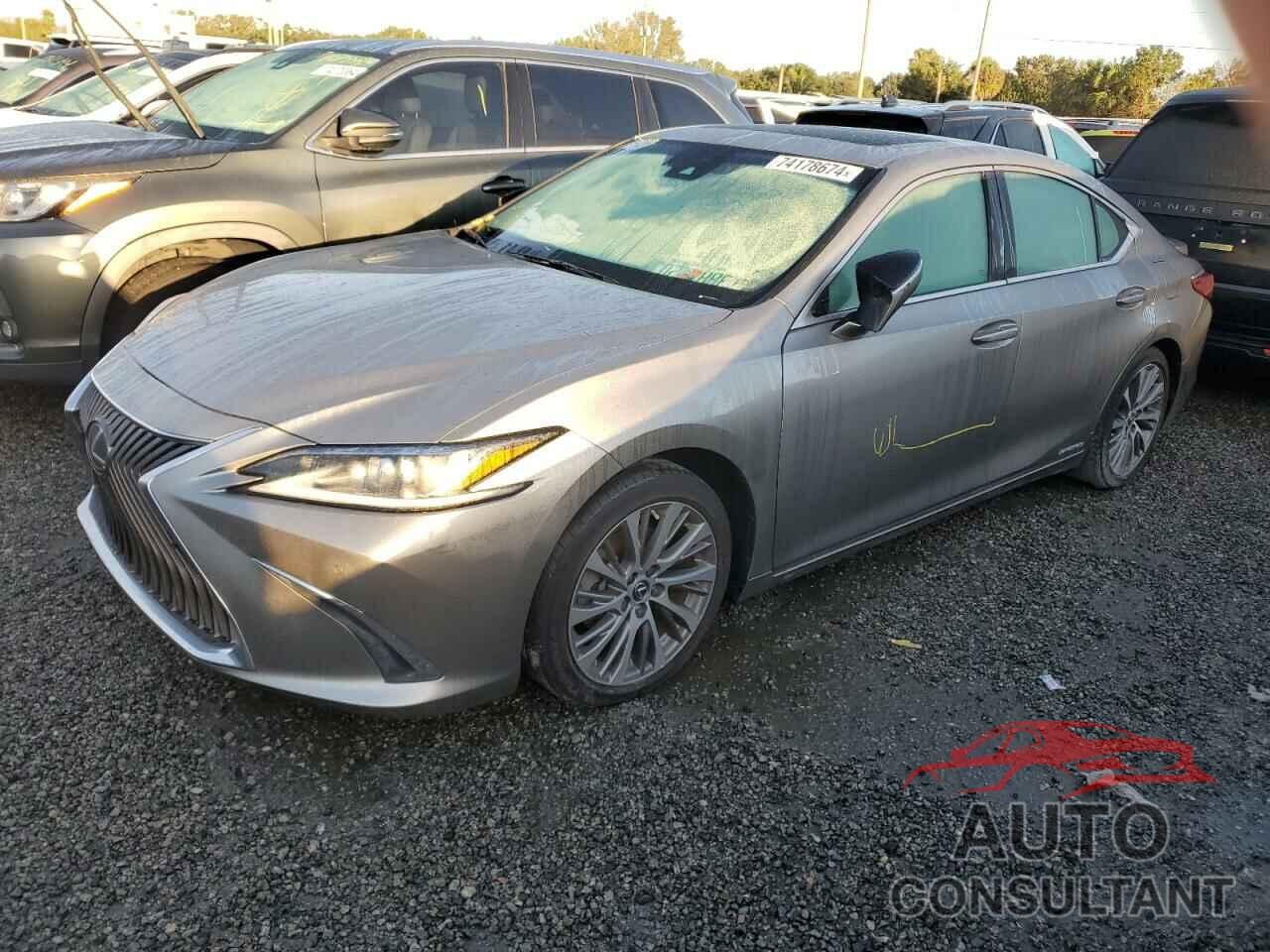 LEXUS ES300 2020 - 58AD21B15LU010919