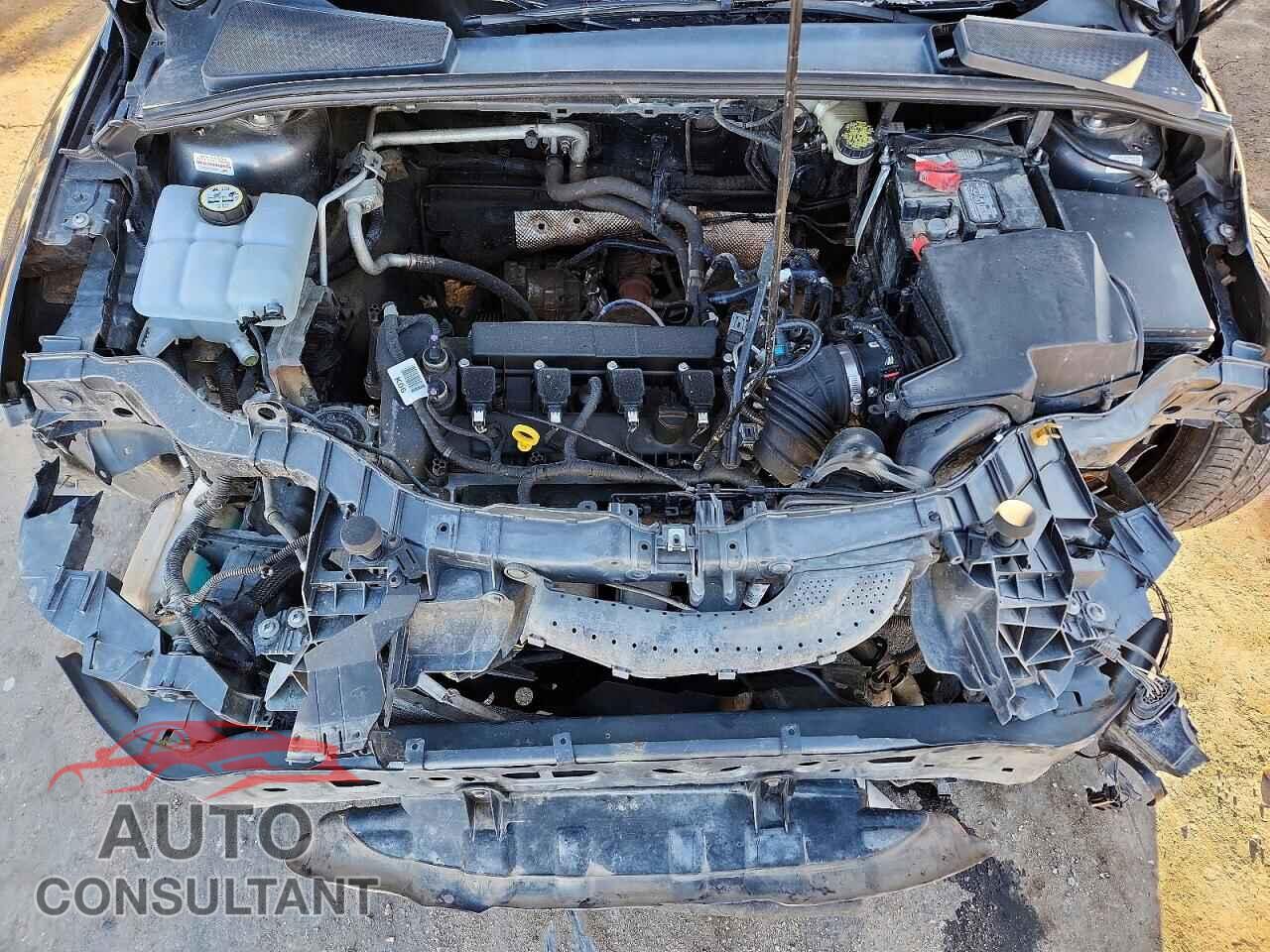 FORD FOCUS 2016 - 1FADP3F24GL380577