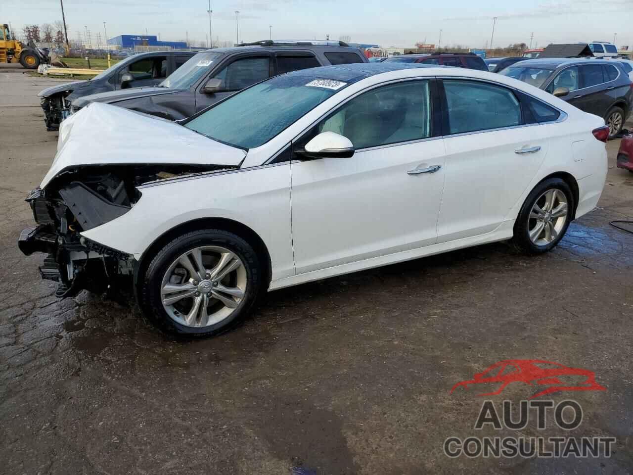 HYUNDAI SONATA 2019 - 5NPE34AF7KH752968