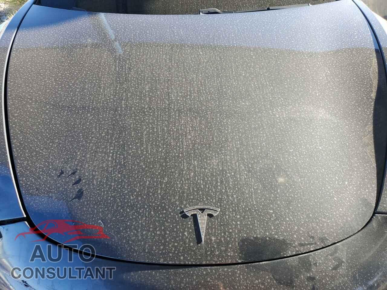 TESLA MODEL 3 2019 - 5YJ3E1EA2KF300827