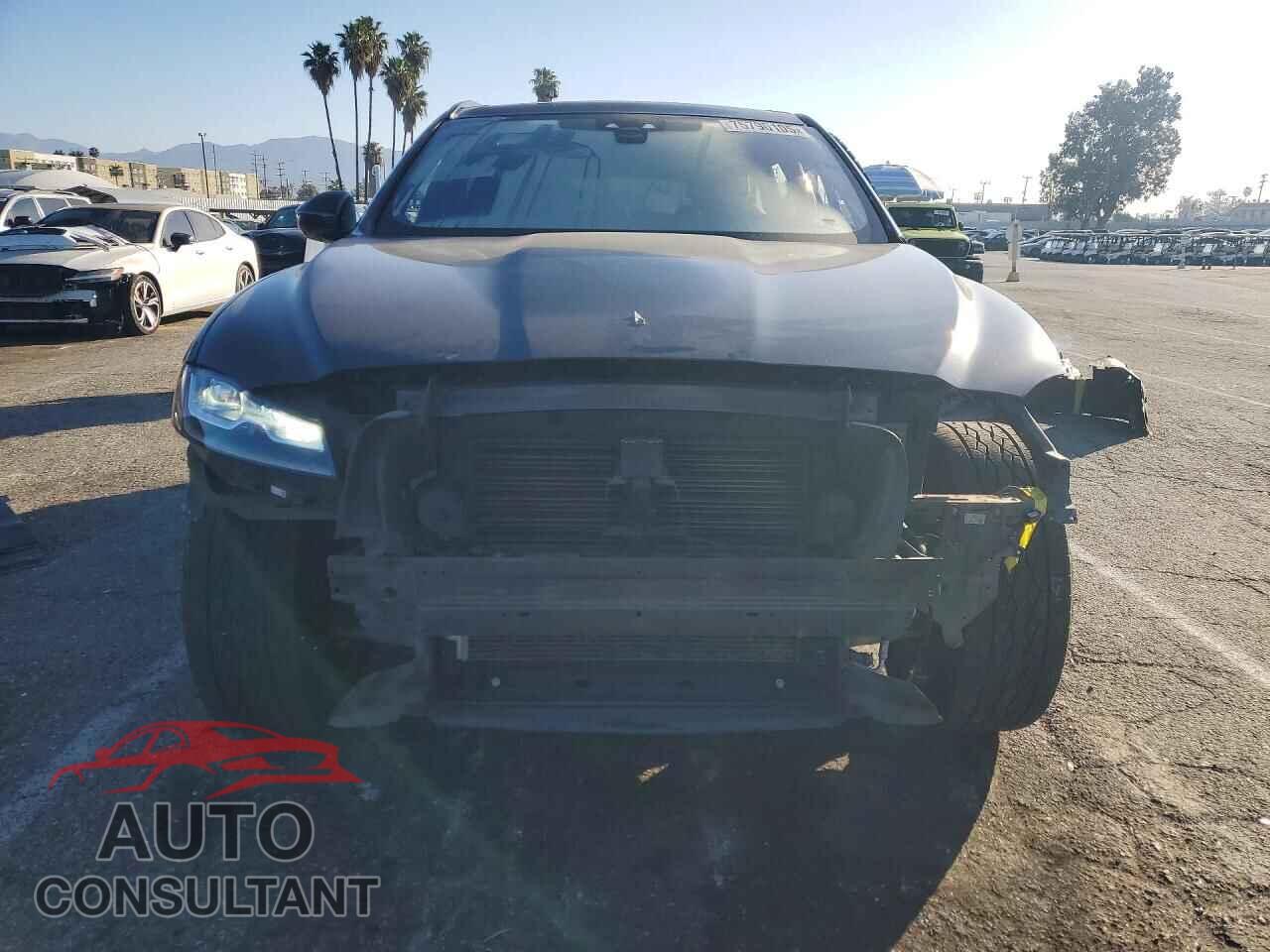 JAGUAR F-PACE 2019 - SADCM2FV9KA391151