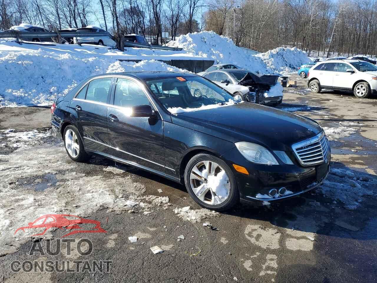 MERCEDES-BENZ E-CLASS 2010 - WDDHF8HBXAA092533