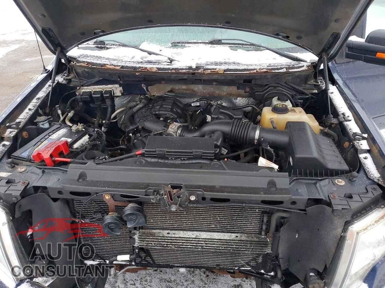 FORD F-150 2012 - 1FTEX1EM3CFC00925