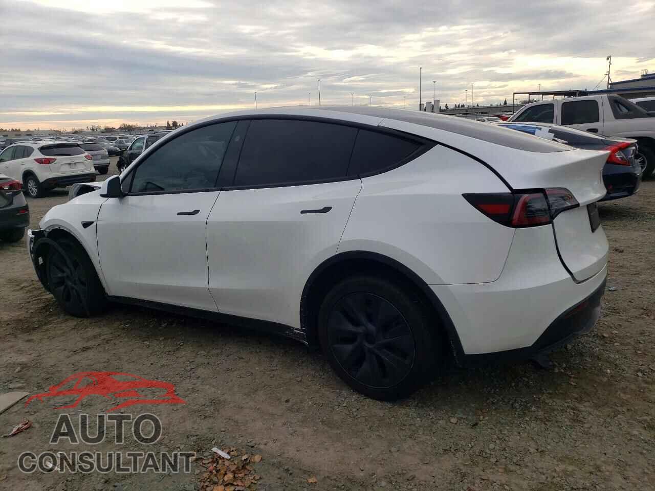 TESLA MODEL Y 2024 - 7SAYGDED1RF103088