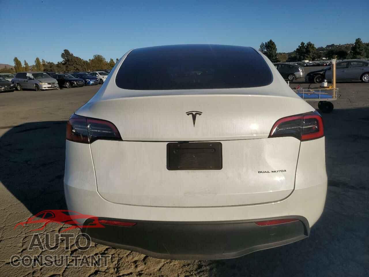 TESLA MODEL Y 2024 - 7SAYGAEE1RF103678