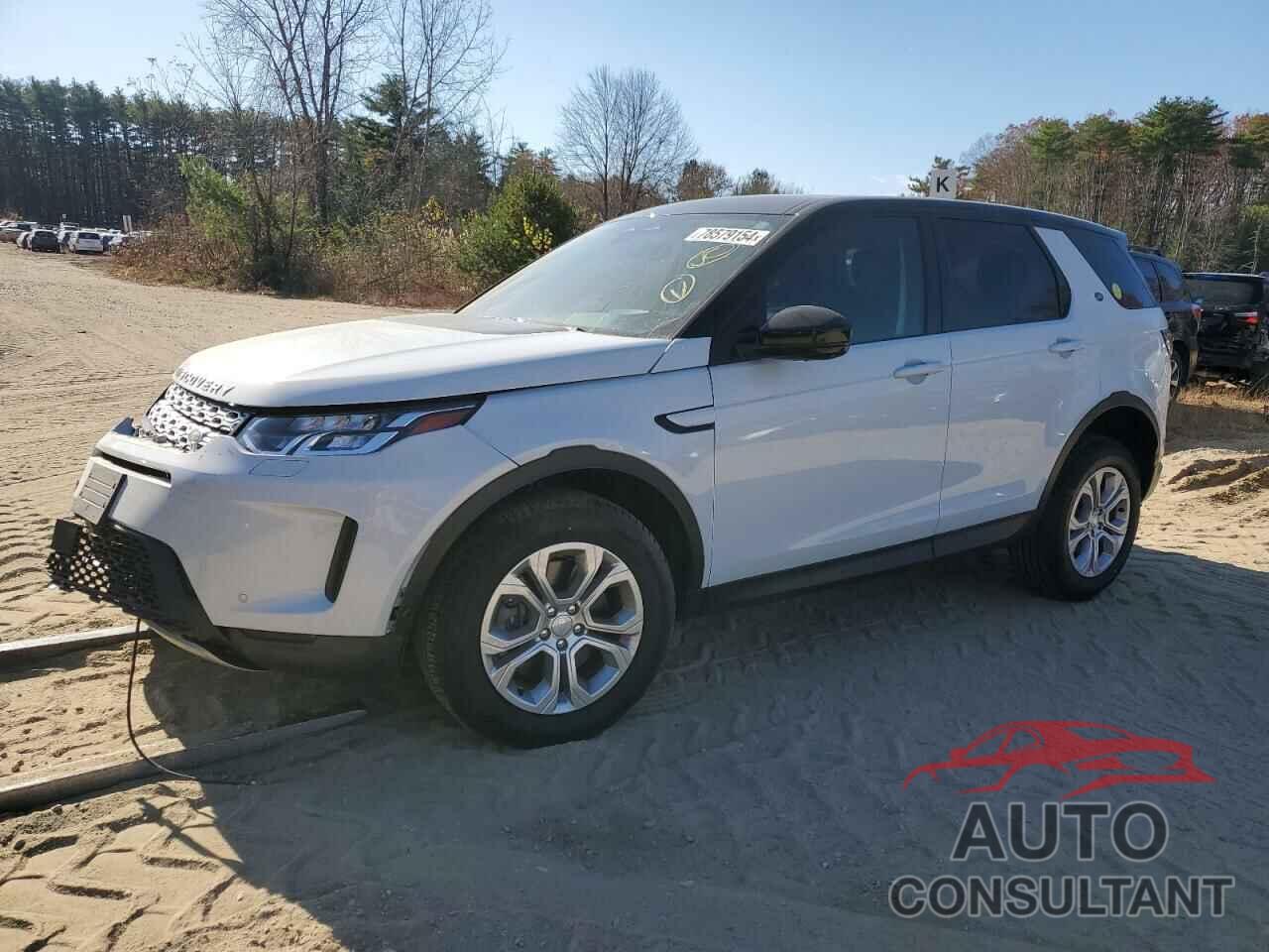 LAND ROVER DISCOVERY 2021 - SALCJ2FX9MH900244