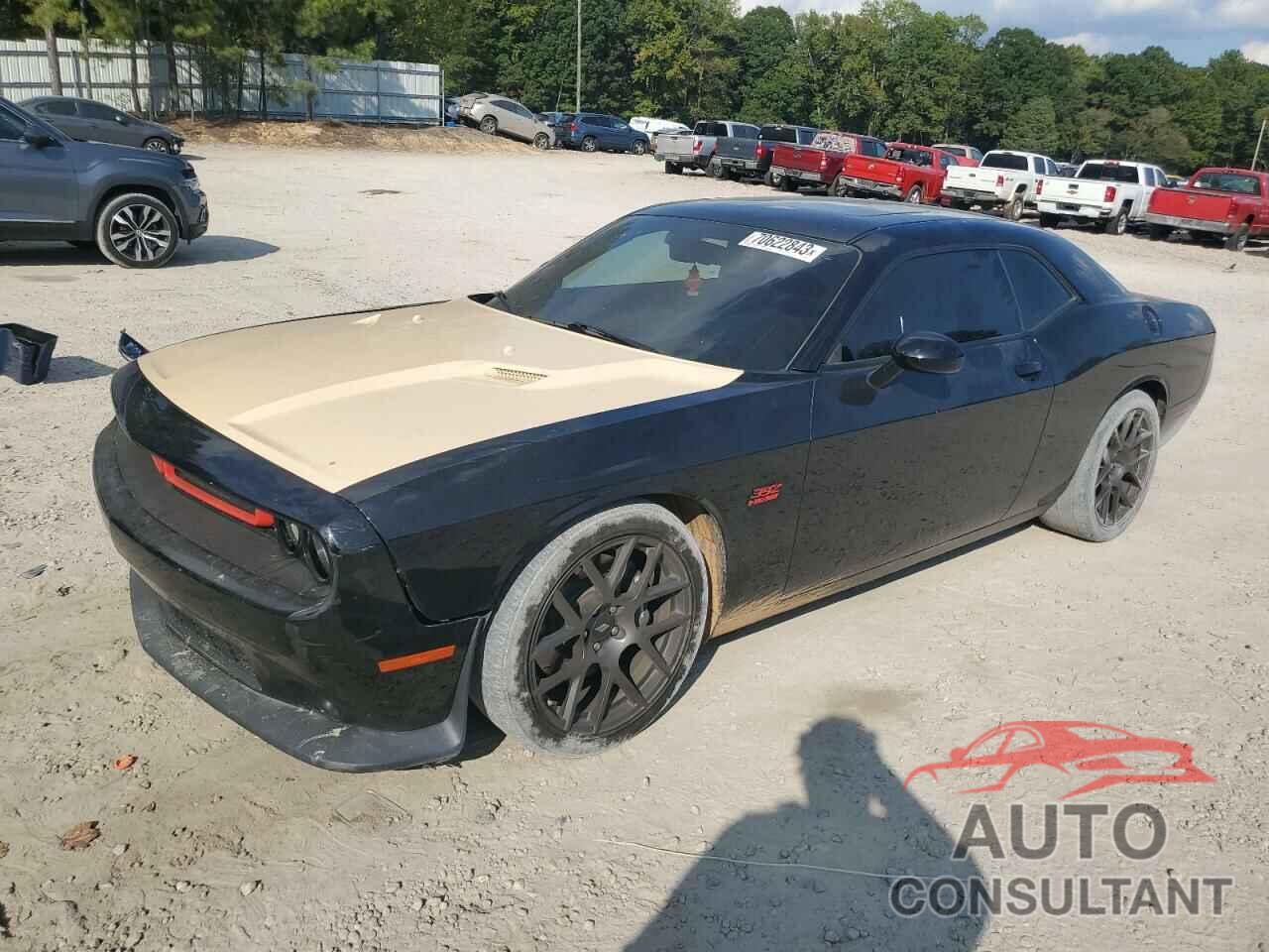 DODGE CHALLENGER 2019 - 2C3CDZFJXKH719121