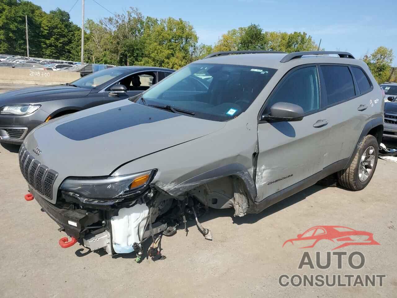 JEEP CHEROKEE 2019 - 1C4PJMBX4KD395180