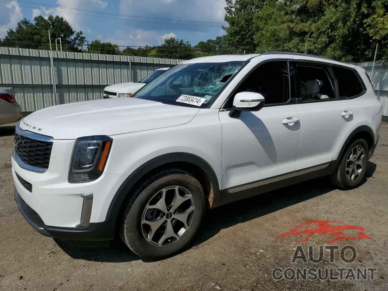 KIA TELLURIDE 2022 - 5XYP34HC6NG300073