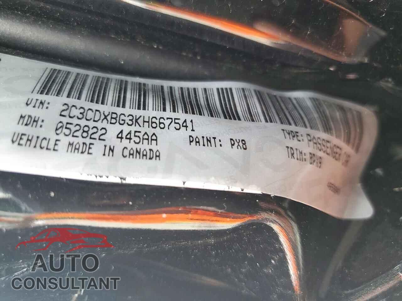 DODGE CHARGER 2019 - 2C3CDXBG3KH667541