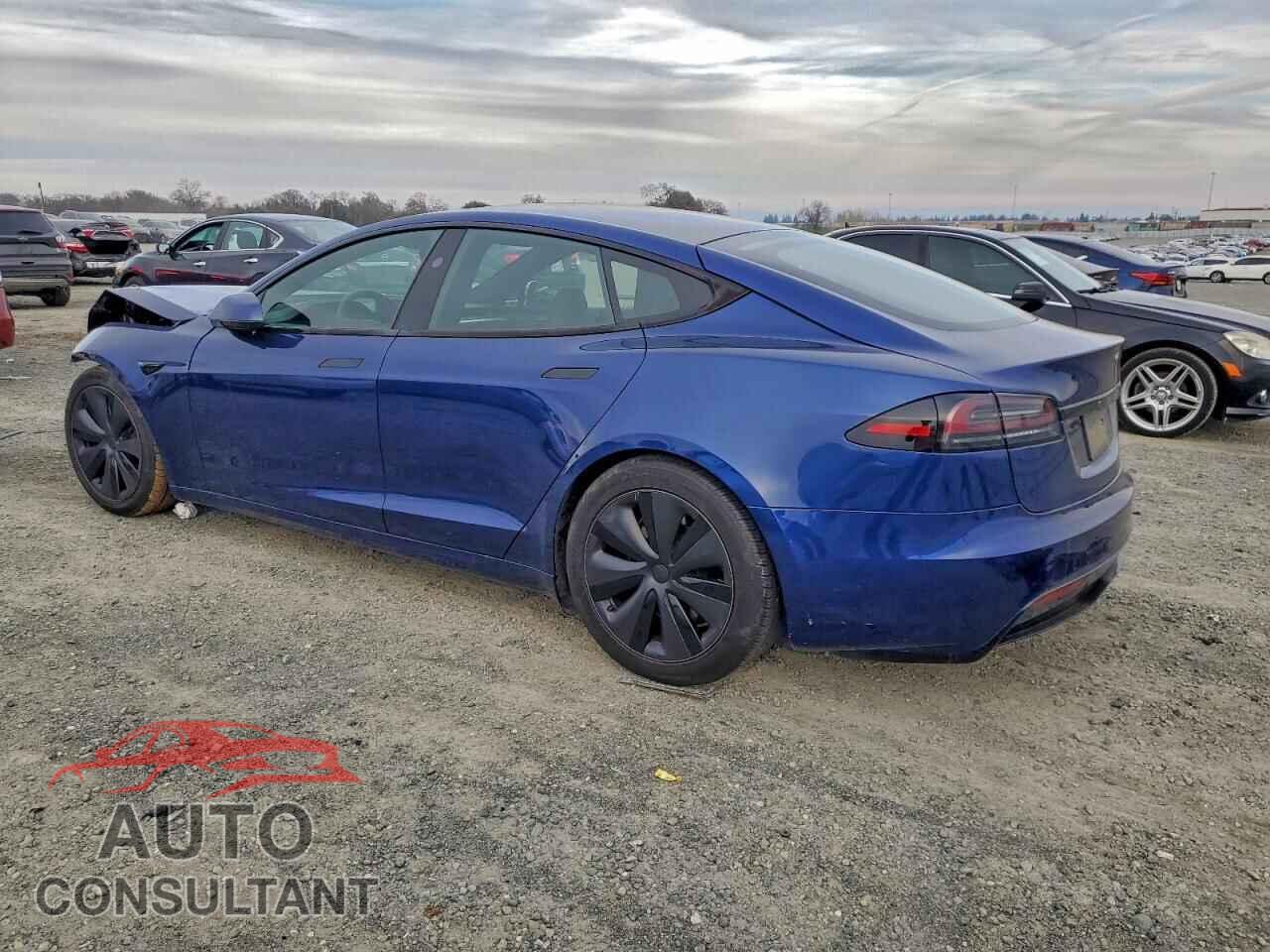TESLA MODEL S 2023 - 5YJSA1E55PF515667