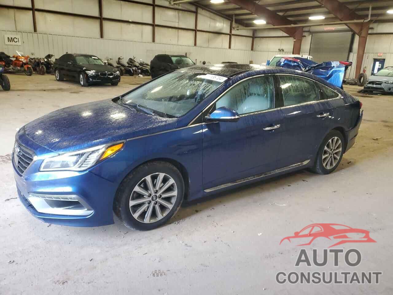 HYUNDAI SONATA 2016 - 5NPE34AF3GH295678