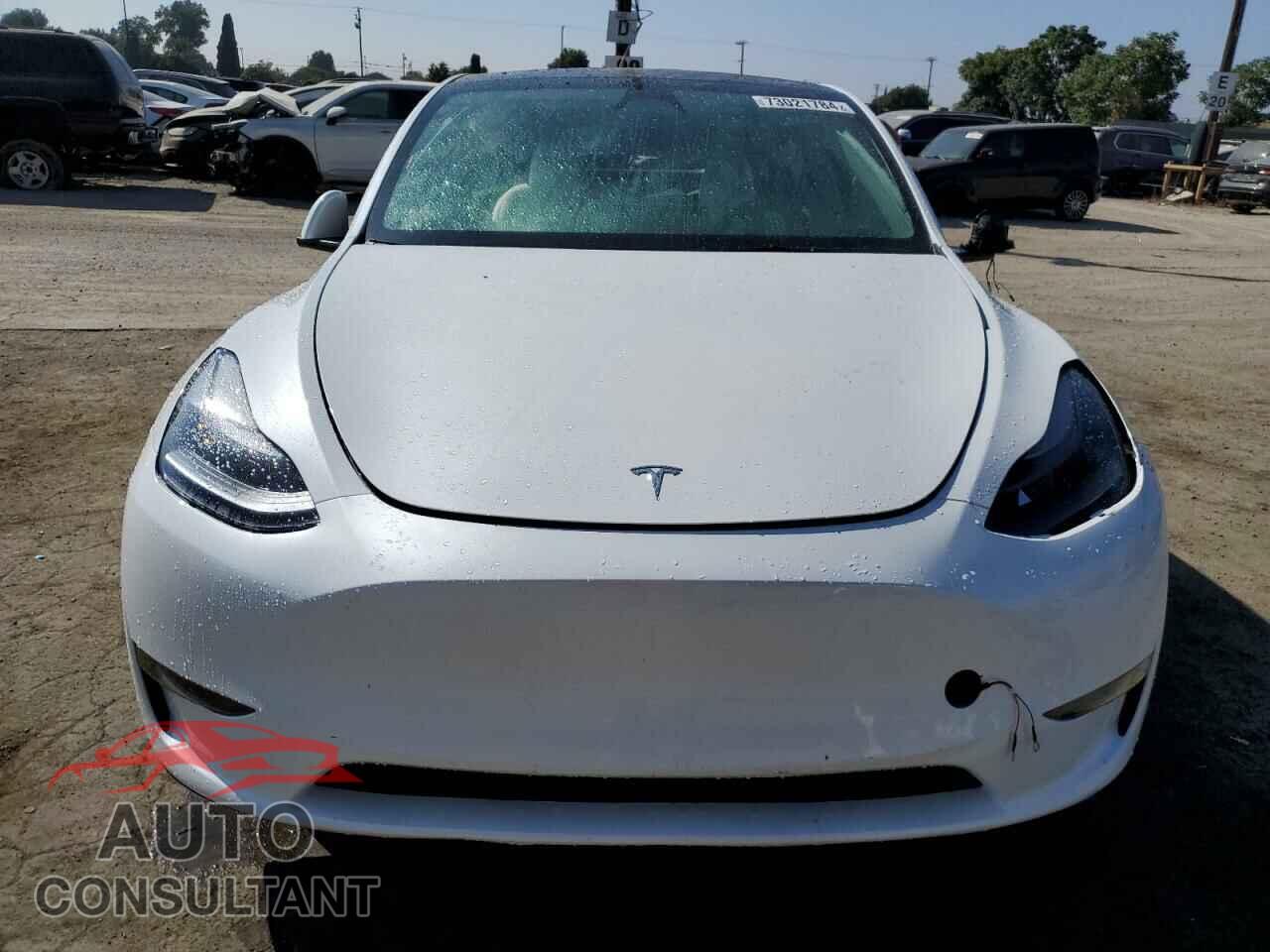 TESLA MODEL Y 2024 - 7SAYGDED1RF104449