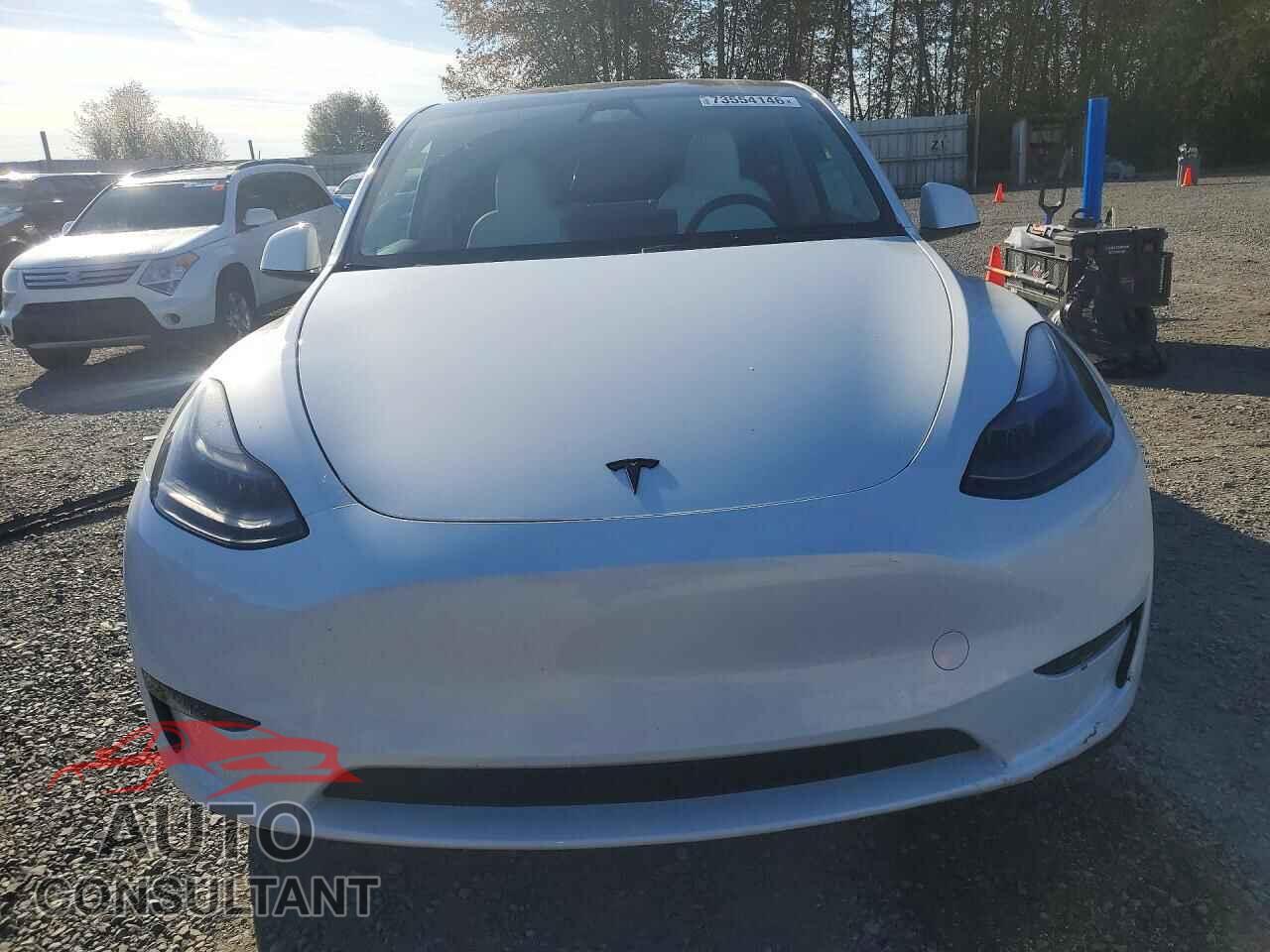 TESLA MODEL Y 2024 - 7SAYGDEDXRF087523