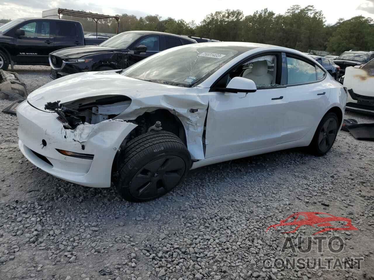 TESLA MODEL 3 2022 - 5YJ3E1EA8NF303039