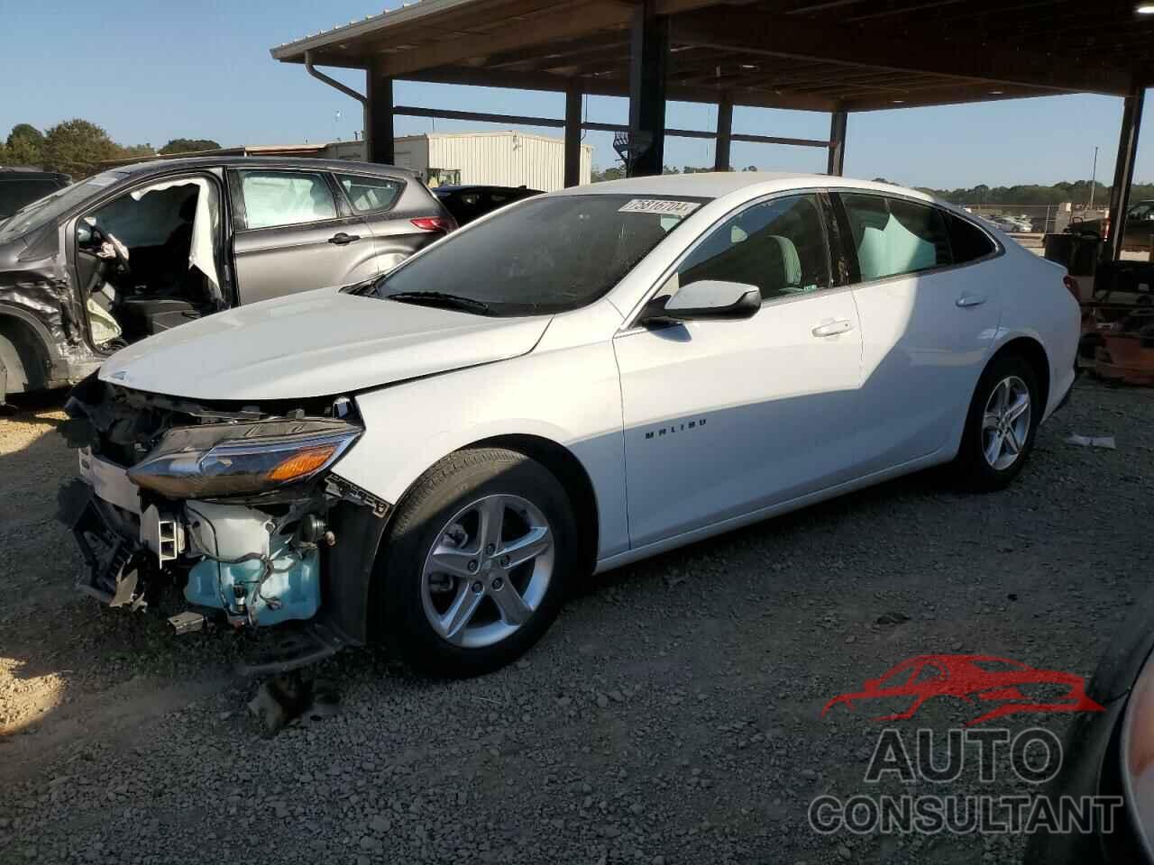 CHEVROLET MALIBU 2021 - 1G1ZC5ST8MF084101