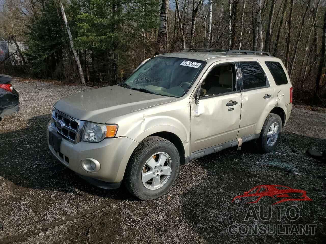 FORD ESCAPE 2010 - 1FMCU0DG5AKC70187