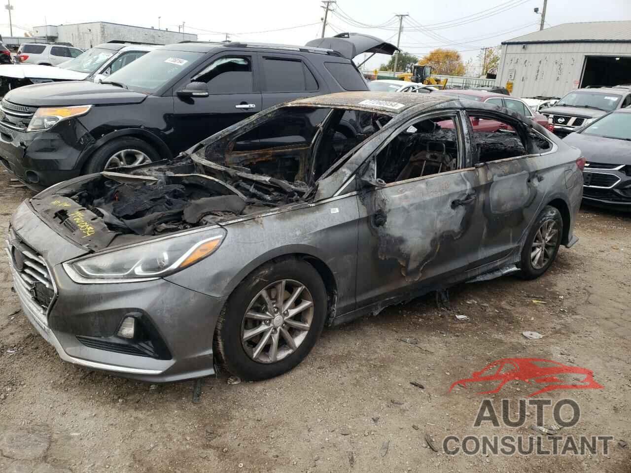 HYUNDAI SONATA 2019 - 5NPE24AF8KH758880
