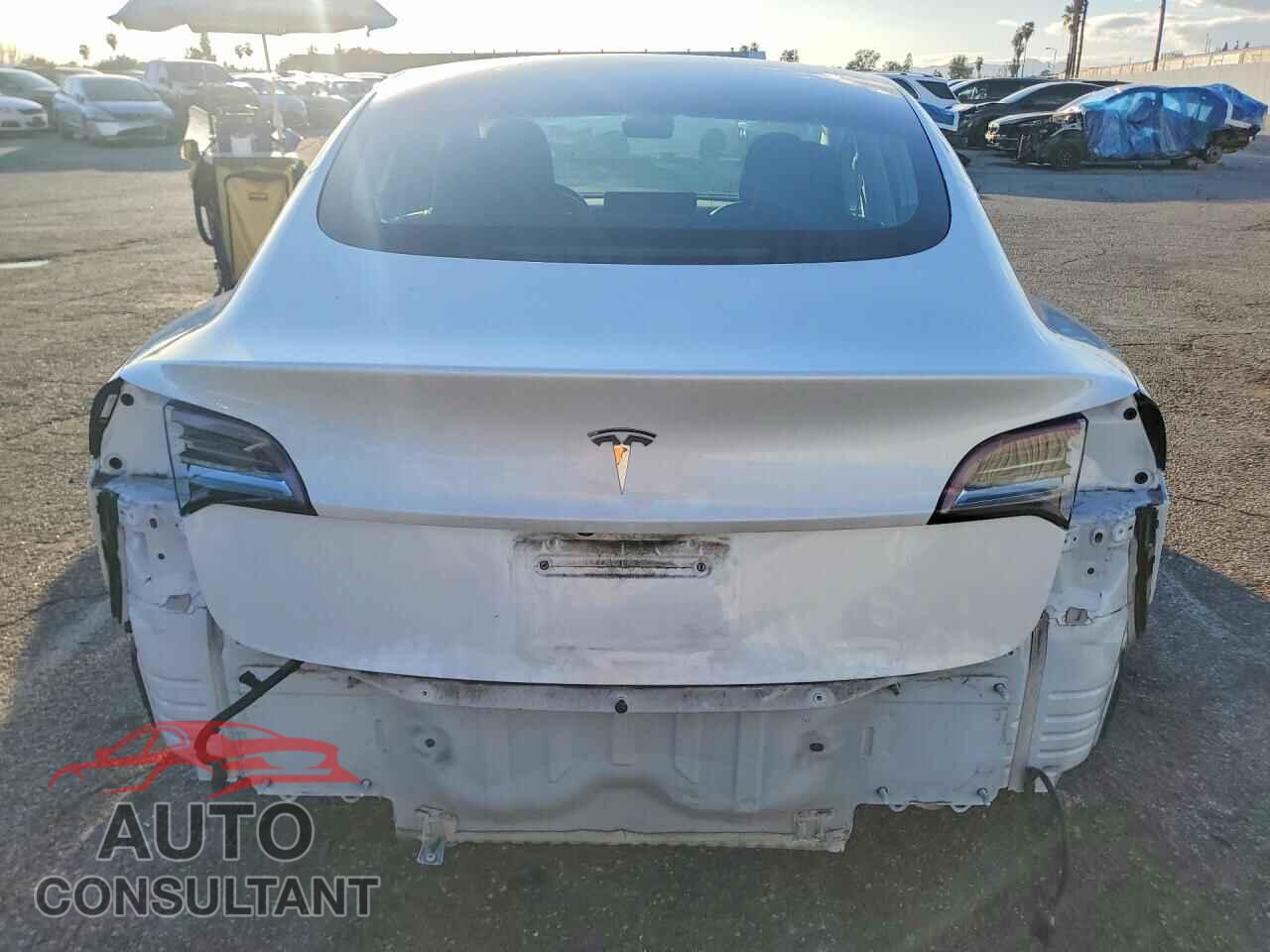 TESLA MODEL 3 2019 - 5YJ3E1EA2KF397155