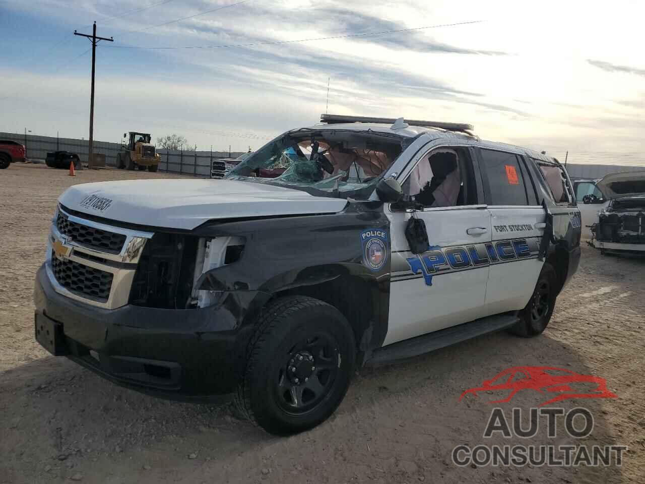 CHEVROLET TAHOE 2019 - 1GNLCDEC1KR181808