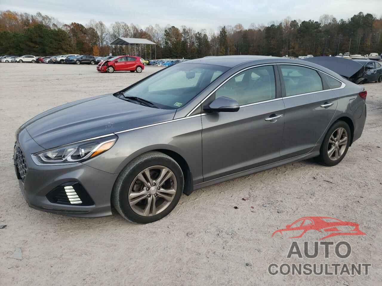 HYUNDAI SONATA 2019 - 5NPE34AF6KH795567