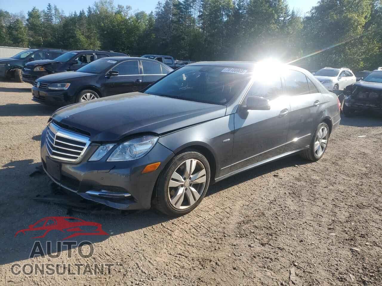 MERCEDES-BENZ E-CLASS 2012 - WDDHF82B4CA616299