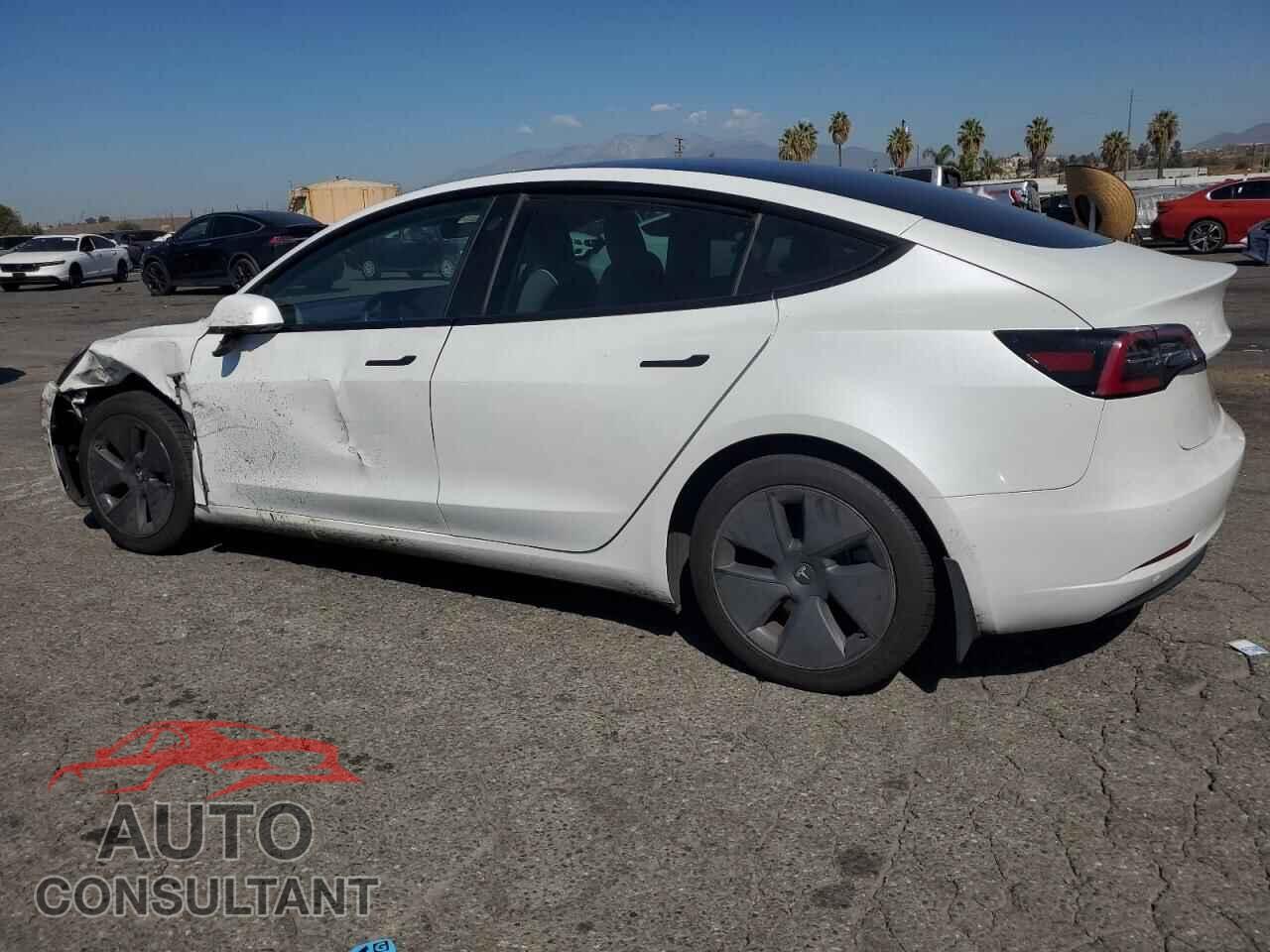 TESLA MODEL 3 2021 - 5YJ3E1EA9MF873405