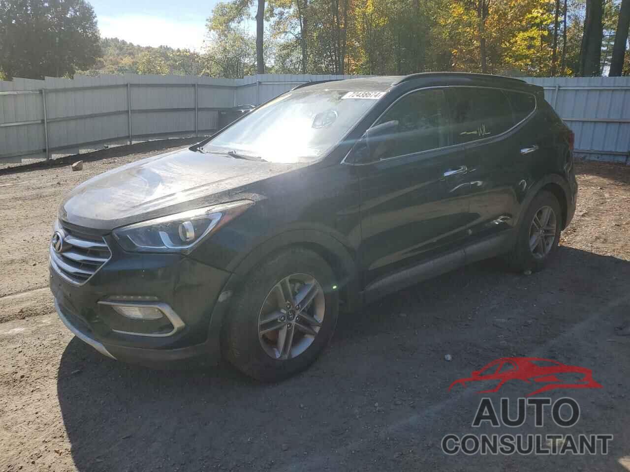 HYUNDAI SANTA FE 2017 - 5NMZUDLB3HH029827