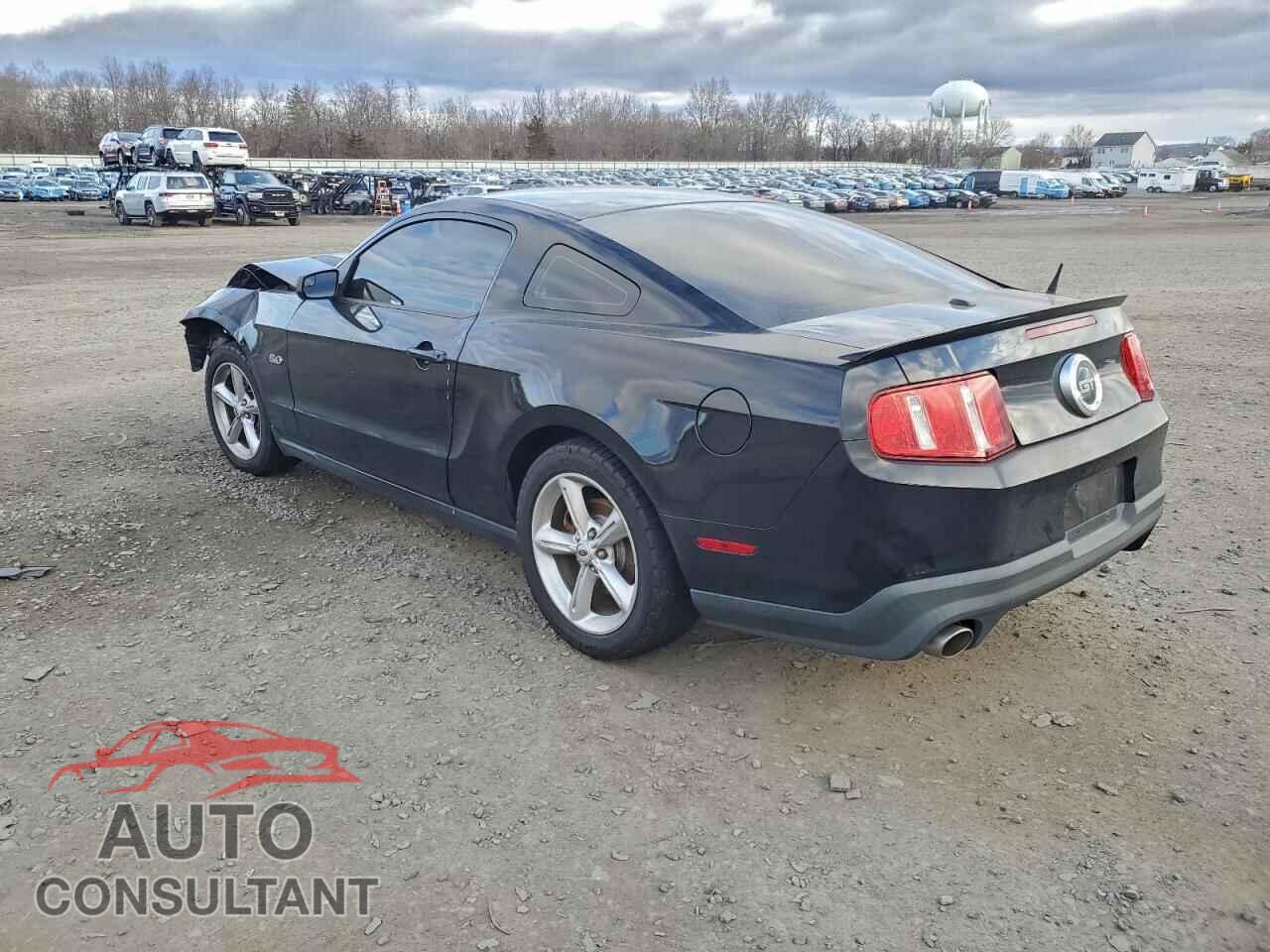 FORD MUSTANG 2011 - 1ZVBP8CF4B5155267