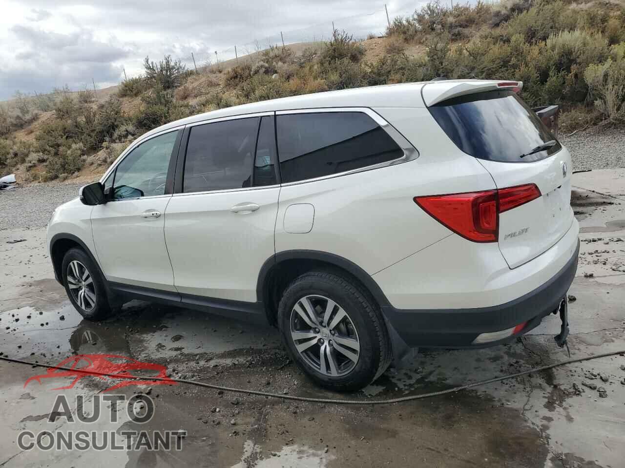 HONDA PILOT 2018 - 5FNYF6H37JB046544