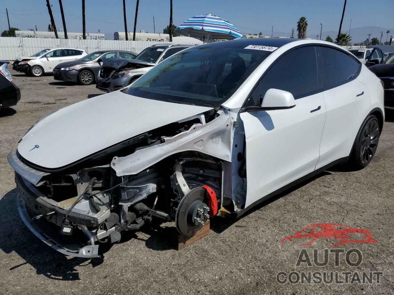 TESLA MODEL Y 2022 - 7SAYGDEF0NF394002