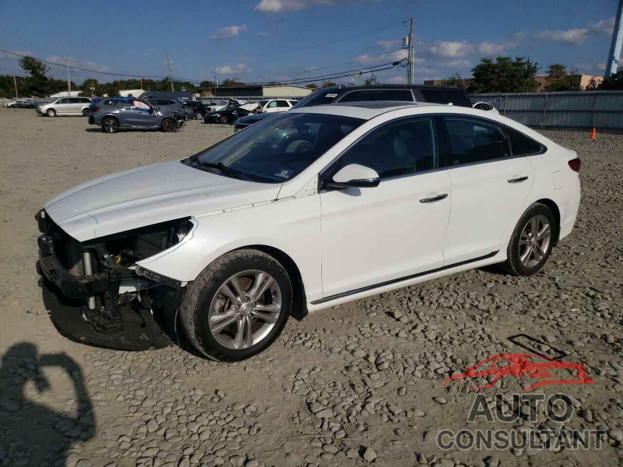 HYUNDAI SONATA 2019 - 5NPE34AF3KH779472