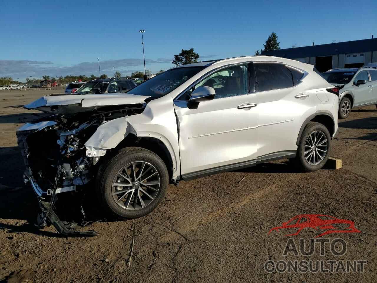 LEXUS NX 250 2022 - 2T2GDCEZ0NC001511