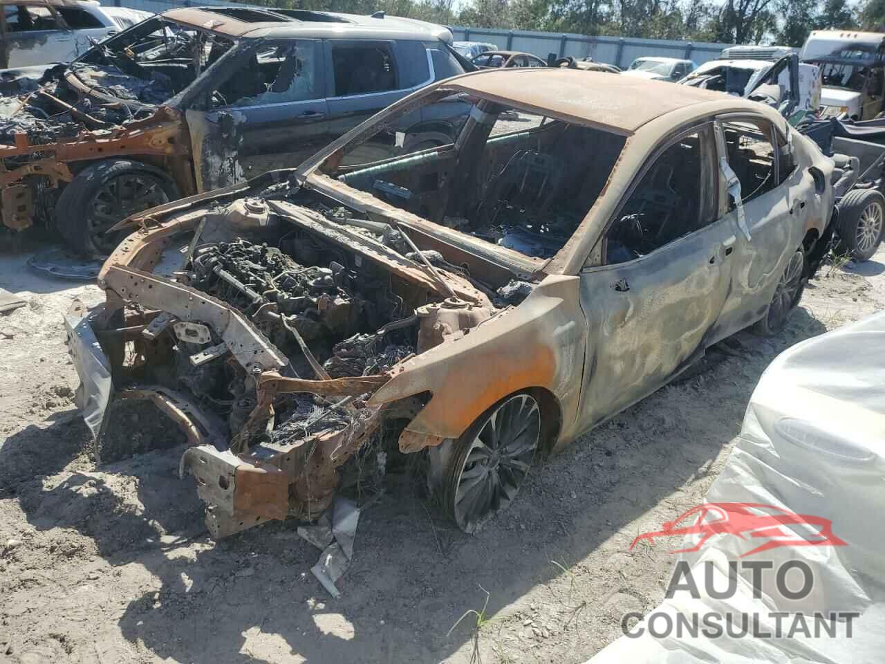 TOYOTA CAMRY 2019 - 4T1B11HK9KU254900