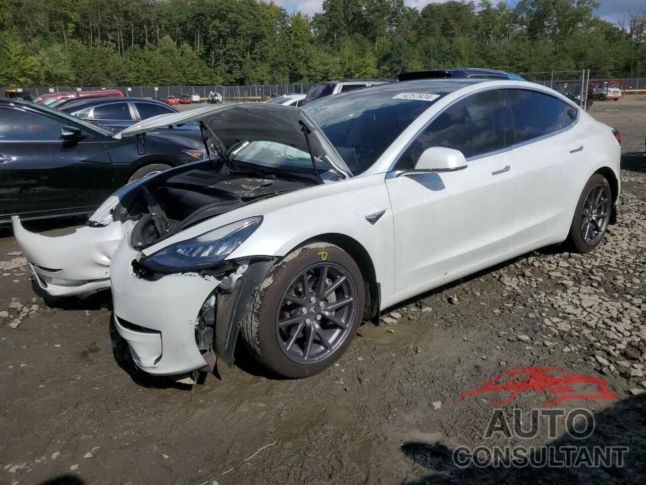 TESLA MODEL 3 2020 - 5YJ3E1EB9LF795084