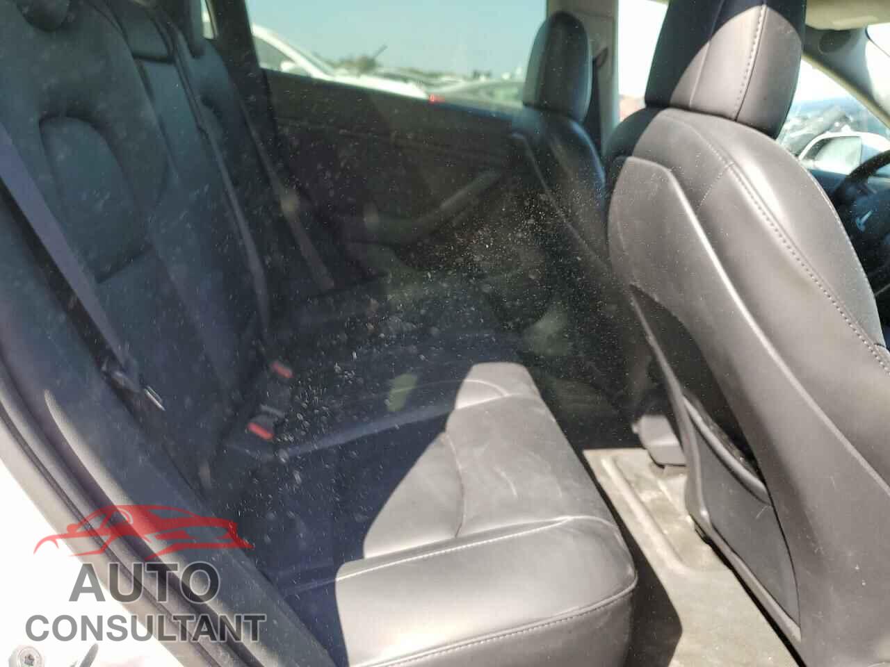 TESLA MODEL 3 2021 - 5YJ3E1EB8MF902160