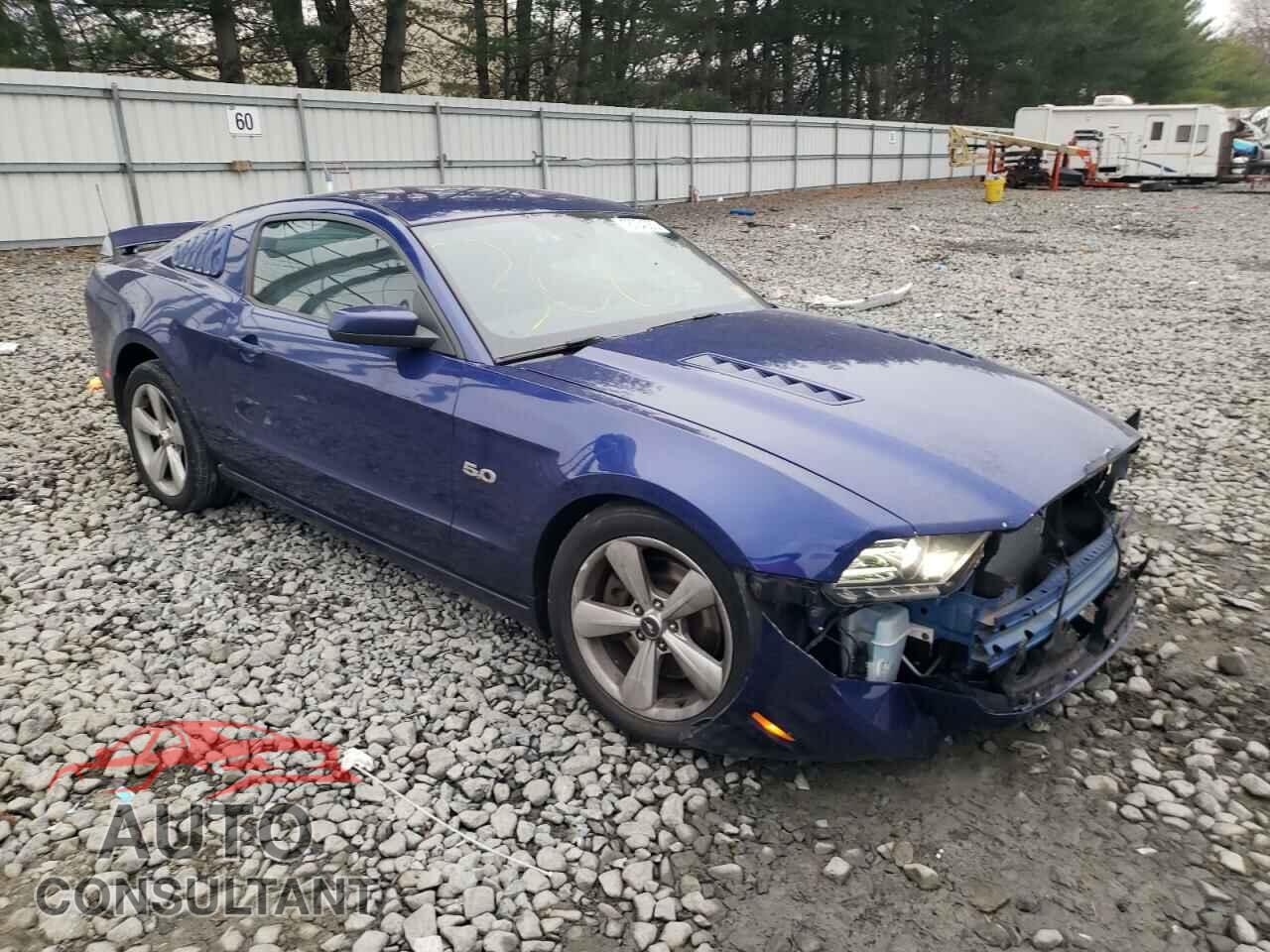 FORD MUSTANG 2014 - 1ZVBP8CFXE5244538