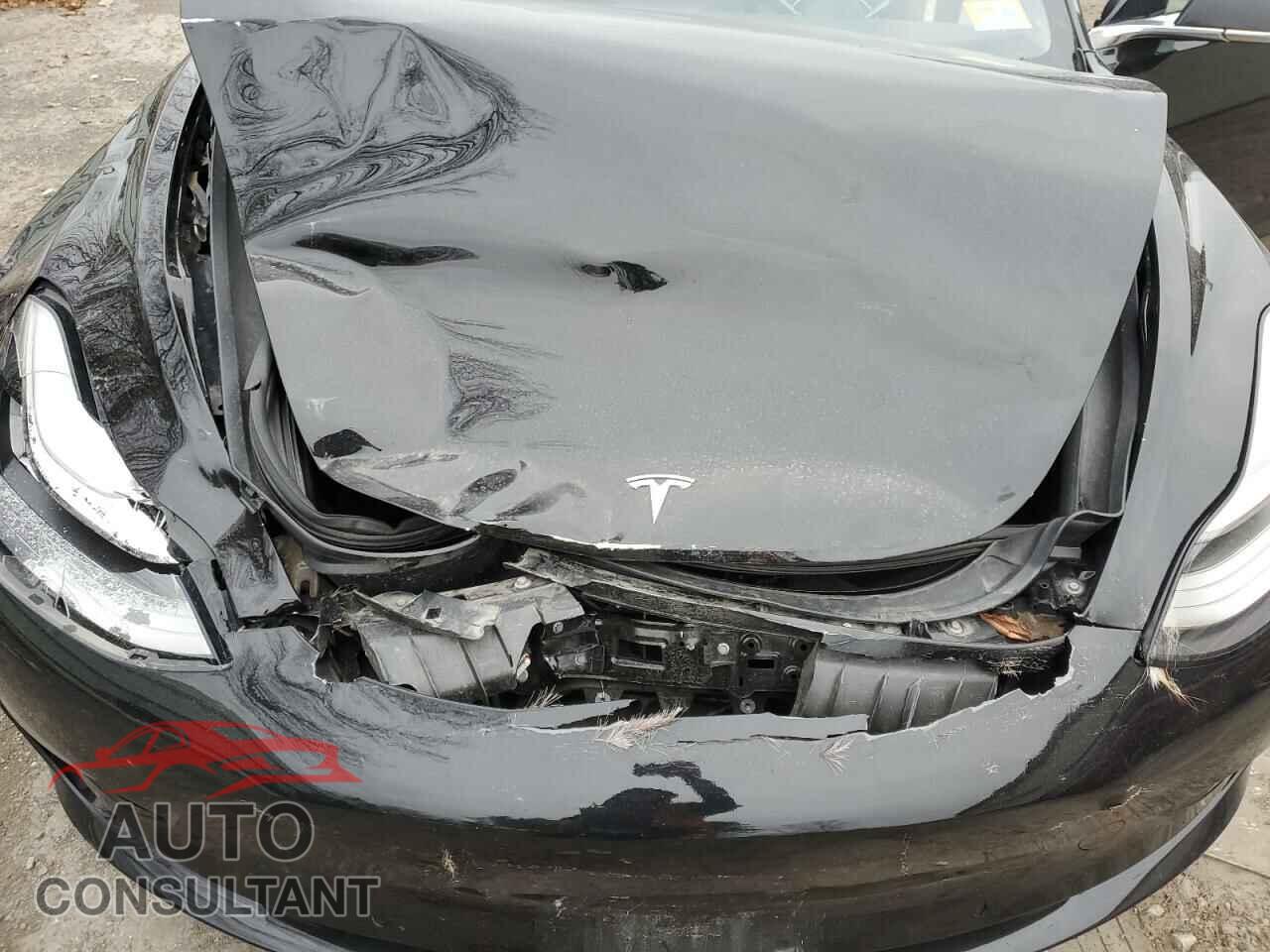 TESLA MODEL 3 2019 - 5YJ3E1EB2KF208741