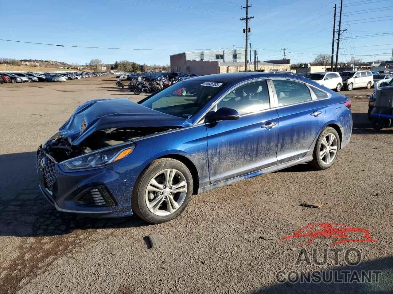HYUNDAI SONATA 2019 - 5NPE34AF5KH778842
