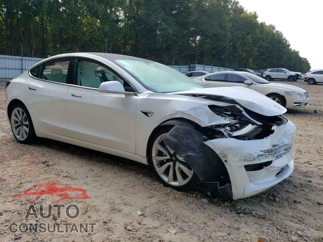 TESLA MODEL 3 2019 - 5YJ3E1EB8KF392308