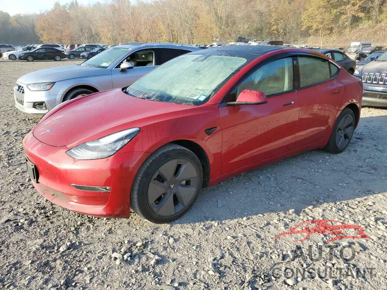 TESLA MODEL 3 2019 - 5YJ3E1EA7KF394848