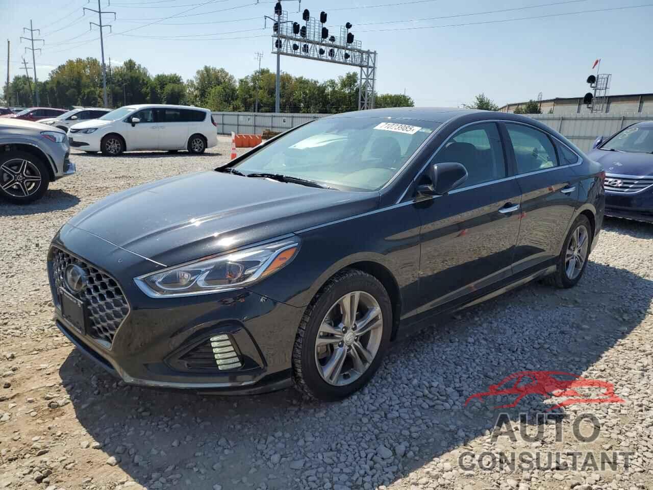 HYUNDAI SONATA 2019 - 5NPE34AF7KH773920