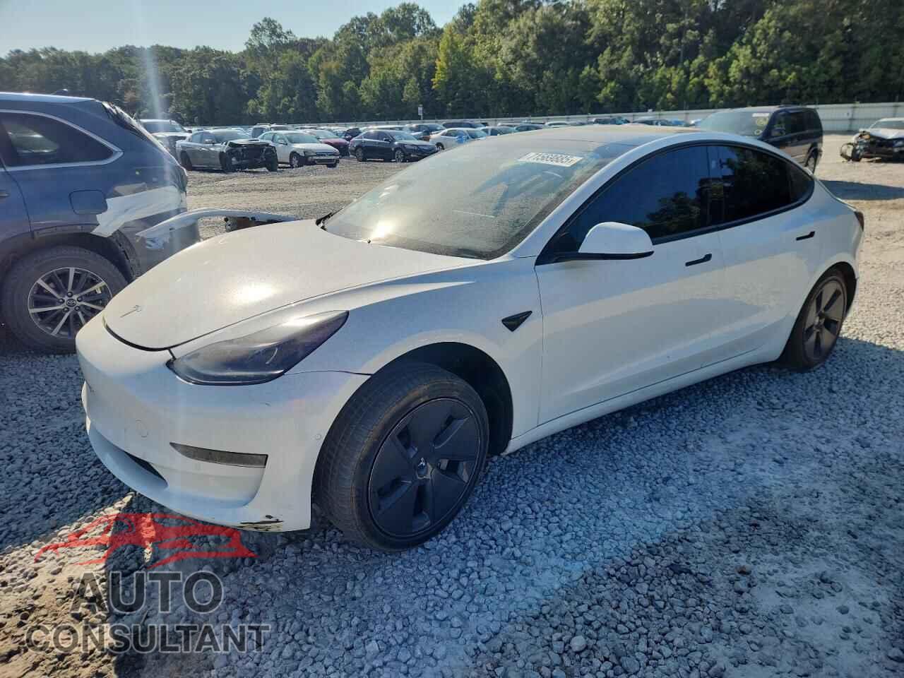 TESLA MODEL 3 2021 - 5YJ3E1EA4MF043043