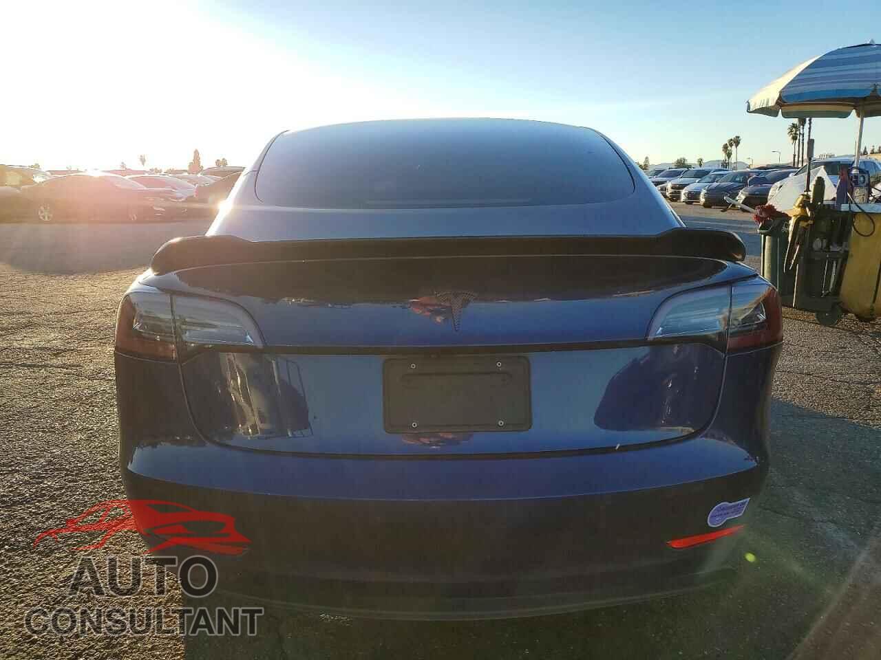 TESLA MODEL 3 2019 - 5YJ3E1EA2KF309107