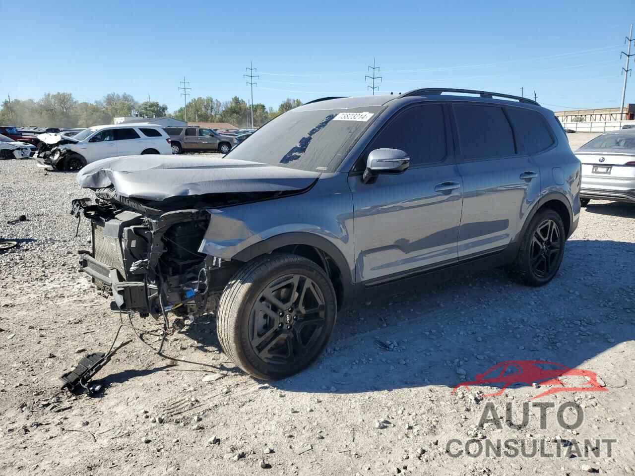 KIA TELLURIDE 2024 - 5XYP5DGC9RG436408