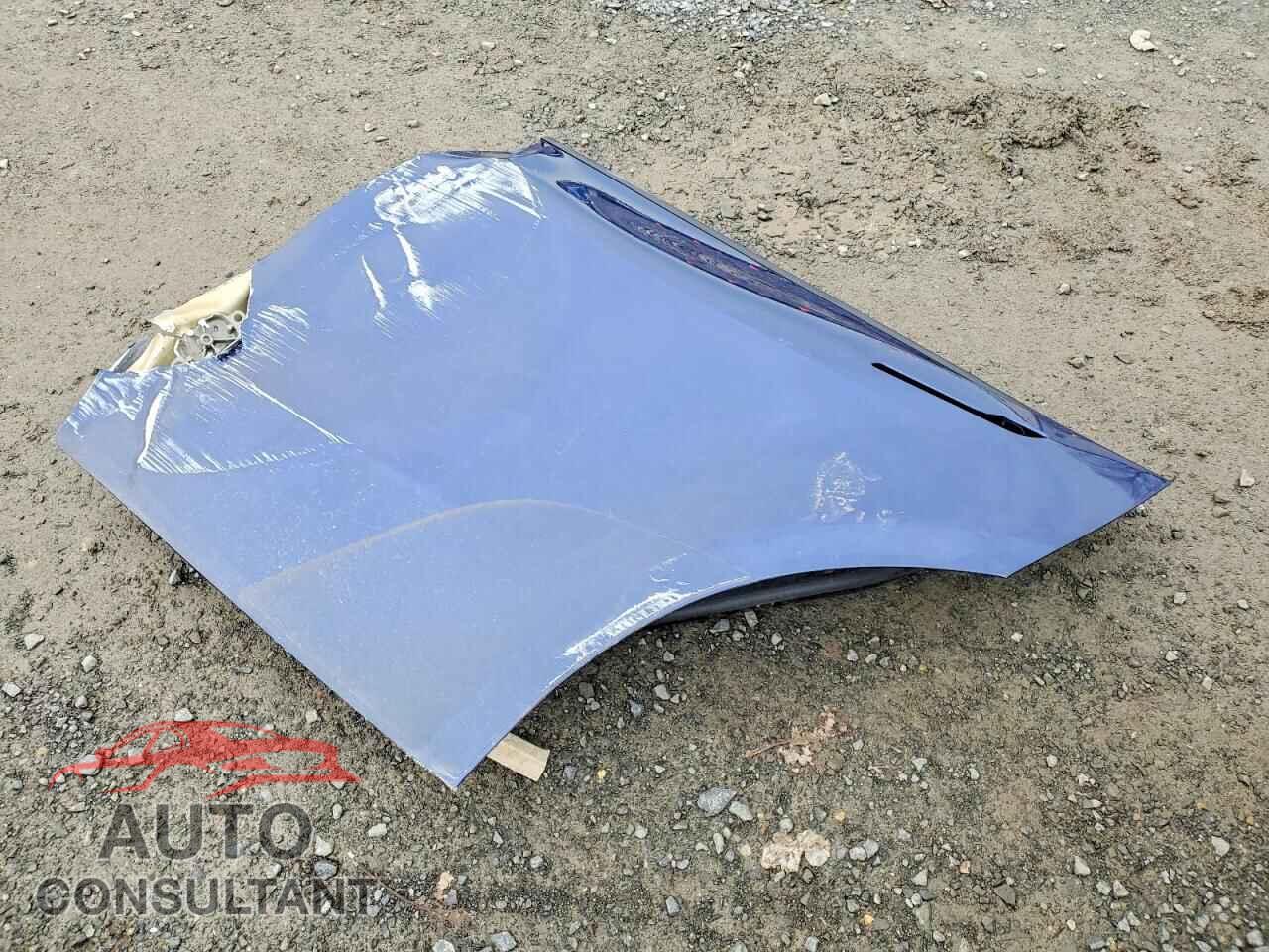 TESLA MODEL Y 2024 - 7SAYGAEEXRF982646